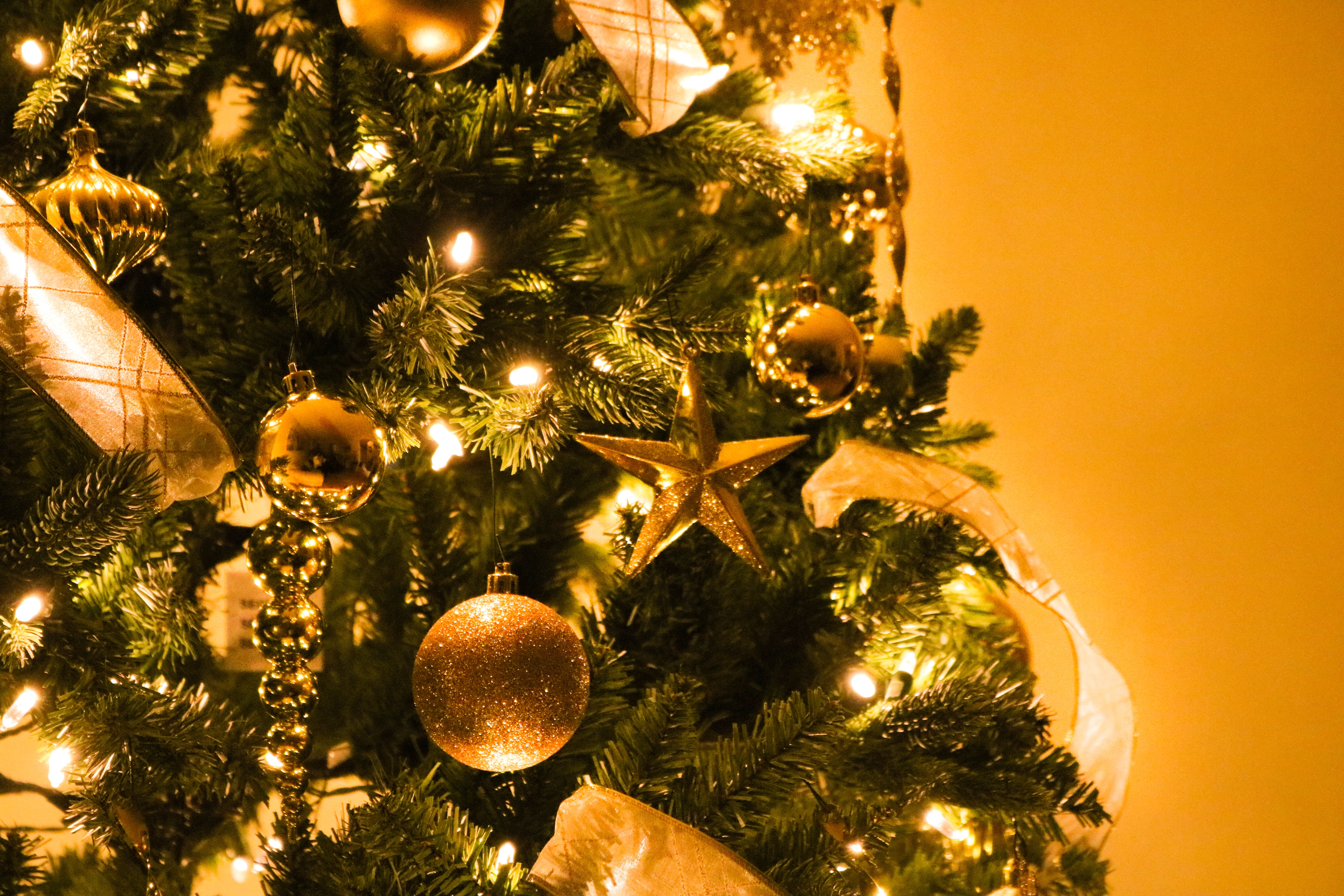 As árvores de Natal de plástico podem ser colocadas no ecoponto  amarelo?NOCTULA Channel | … o que interessa deve ser partilhado!